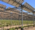 Agrivoltaiku brzdí zatím legislativa a vysoké ceny panelů